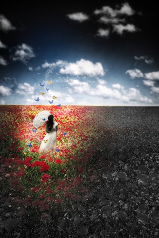 Never Alone