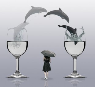dolphin